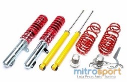 Kit Coilovers Ta-Technix Seat Leon Cupra 1M de 01-06.