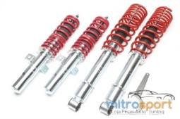 Kit Coilovers Ta-Technix Ford Fiesta JAS / JBS de 10/98-03/00. (Oeil)