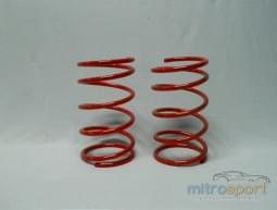 Molas de Rebaixamento Citroen AX